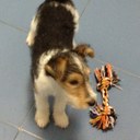 Olga Bonet - @olgabonet1809 - Twitter