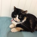 Jade Durocher - @JadeDurocher - Twitter