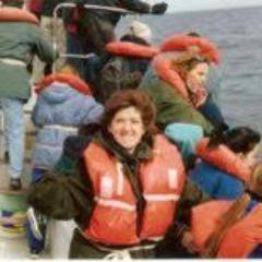 aja2050's profile picture. El agua virtual y el análisis del comercio internacional de granos.