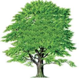 BeechAndCo's profile picture. Beech & Company Estate Agents offer a thoroughly professional, yet friendly service when it comes to buying, selling and letting of property in Congleton.