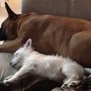 kate cramer - @katecramer12 - Twitter