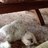 Susanna562's profile image