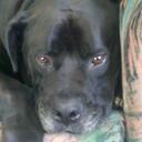 Brian Bull - @Brian_Bull0 - Twitter