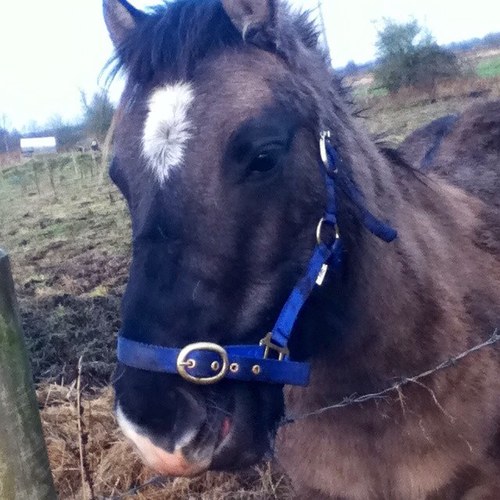 keilei2011's profile picture. :-) heya follow me !! :-)