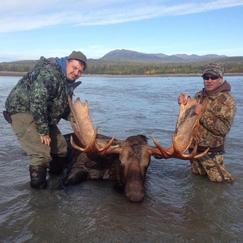 Full time Alaska big game guide and outfitter for Brown bear, black bear, grizzly, and moose