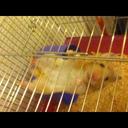 cara robinson - @cararobinson17 - Twitter