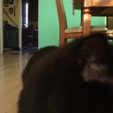 Steve Cash - @StiviCash - Twitter