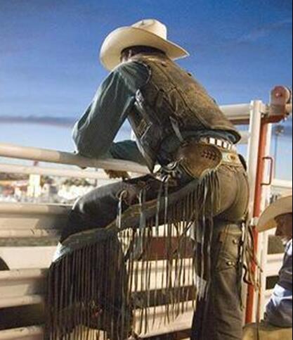 horses and trucks Cant help but raise alittle hell #TeamFord You can find me in the back of a ford truck tailgate Powerstroke Power #BGNation #NRA horse farrier
