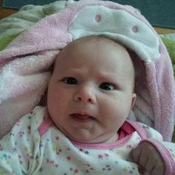 kiwimeowmeow's profile picture. 