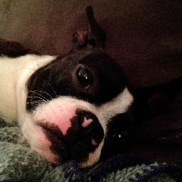 tuand_NYC's profile picture. 