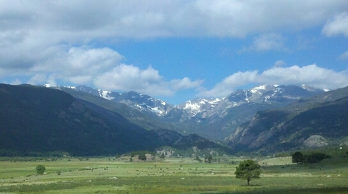 schmlou's profile picture. 