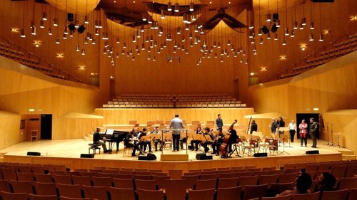 Los músicos, como los mosquitos, se mueren por los aplausos