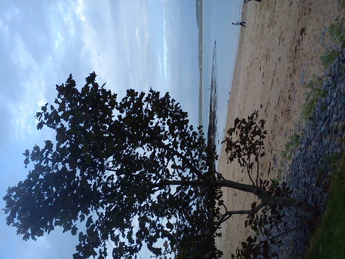 tesiegall's profile picture. if you cannot handle me at my worst then you dont deserve me at my best .....marilyn monroe .