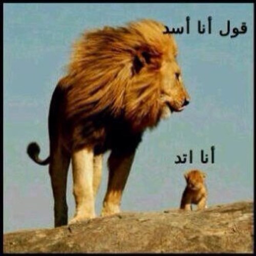احب اناج جدام بنت ومن الكويت فقط