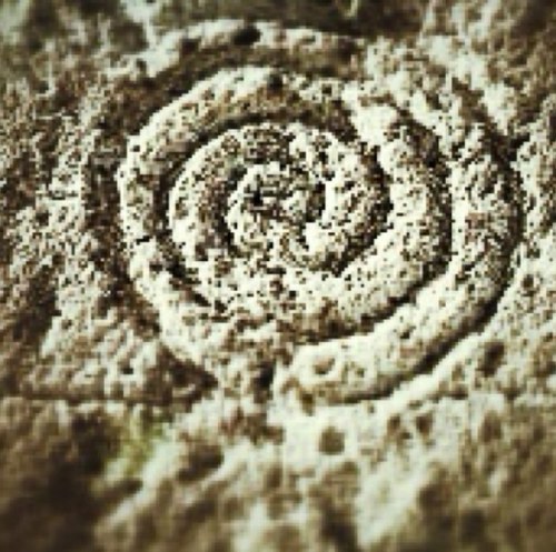 paroleinlinea's profile picture.