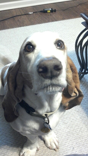 jenbabe08's profile picture. : )