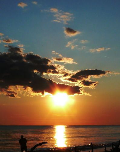 edileromano's profile picture. 