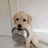 poky_nina's profile image