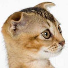 rekitaig's profile picture. 