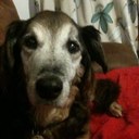 Julie Vickers - @verybusymum - Twitter