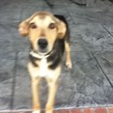 mason gentry - @gentry_mason - Twitter