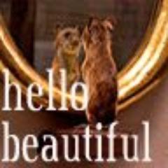 AnnAruhuveb's profile picture. вкалываю