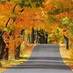 ExploringDoorCounty (@exploringdc) Twitter profile photo