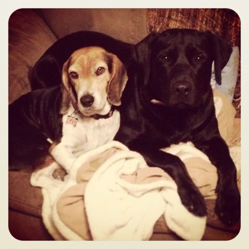 DodgenKira's profile picture. 