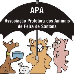Associação Protetora dos Animais de Feira de Santana