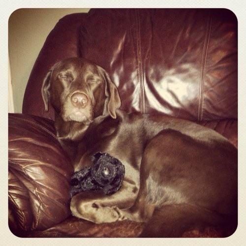 kteany's profile picture. 