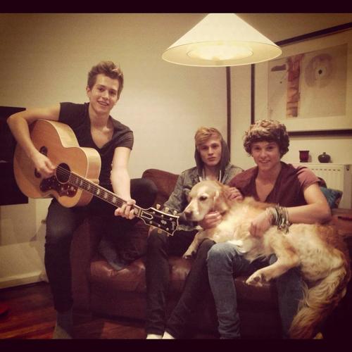 I love The Vamps forever! I'm #Vampette, follow me please guys!!