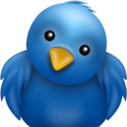 #TFB #TeamFollowBack #FollowBack