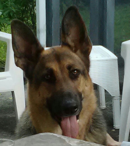 RosanneSucheski's profile picture. 