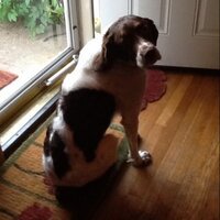 Amy Butler (@cricket54321) Twitter profile photo