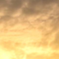 Official Twitter Of FREE2MINE The Only Offline And Online Free Minecraft Client. Check http://t.co/A1yEbQ9v For Site URLs :)