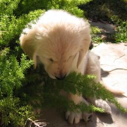 jenwintexas's profile picture. 