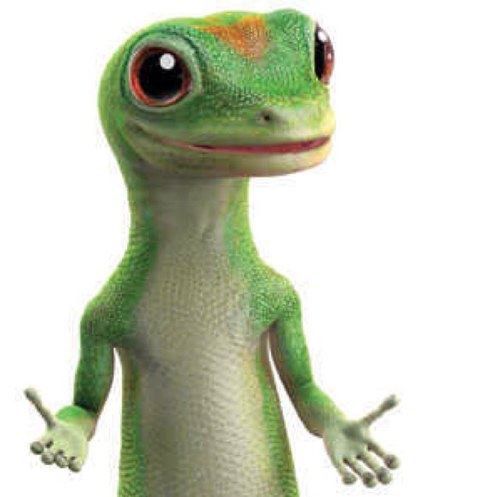 ComedyGecko's profile picture. Everyone loves me! Why not follow me? 
The Official Comedy Gecko account!!!