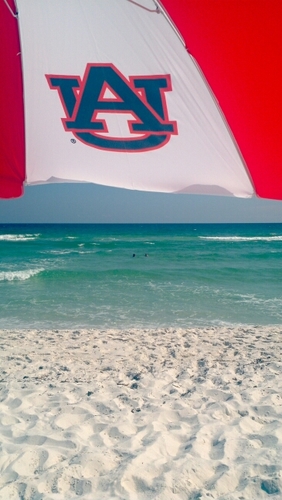 Auburn Alum