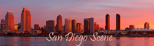 SDScene's profile picture. Blogging and Politics