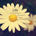 Phoebe Lang - @lanp2606 - Twitter