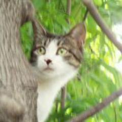 initialE1983's profile picture. 