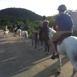 Bienvenidos a  Vieques Horse Riding Puerto Rico.  Monta Caballos en Isla  y la playa.  For Beach Club or Horseback 813-247-9267