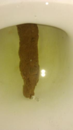 Send in photo's of your shits to share with the world