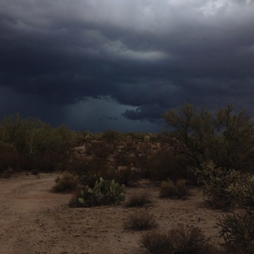 Lefft52's profile picture. 