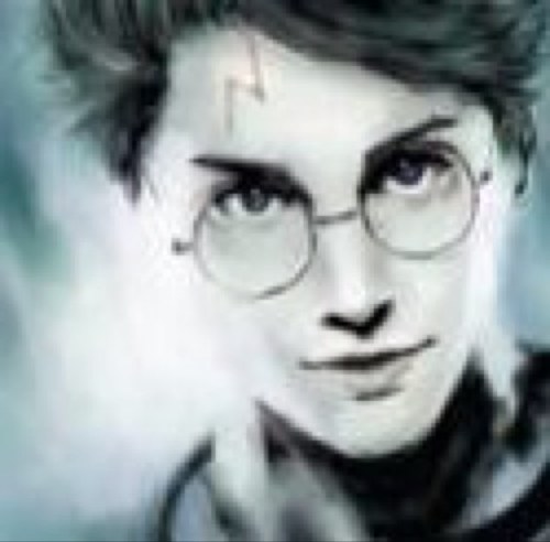Er, Harry Potter. The kid with the scar on his head, labeled 'The Boy Who Lived' pleased to meet you. At Anubis House. 16. Erm, Brilliant. Bye Then. [HOA/HP RP]