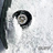 SDuff76's profile image