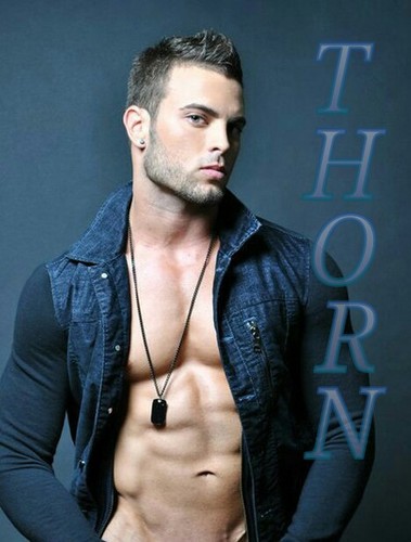 Jailed account for @Thorn_Scythe RP/MC 18+ #Scythe #GrayPack