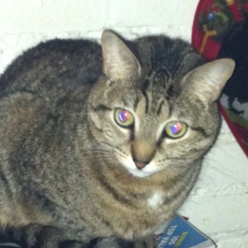 catrionamurph's profile picture. 