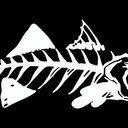 Ian Kitch - @mbfishbones - Twitter