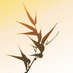 Dara Lebrun (@daralebrun) Twitter profile photo